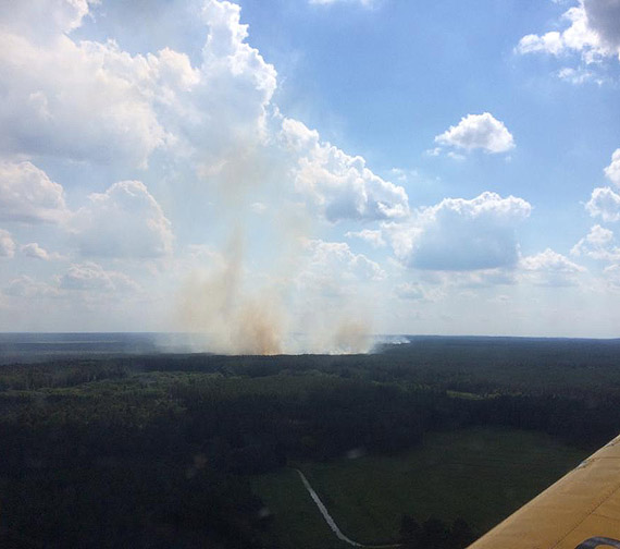 500 le�nik�w pilnuje lasu przed po�arem