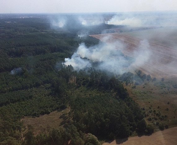 500 le�nik�w pilnuje lasu przed po�arem