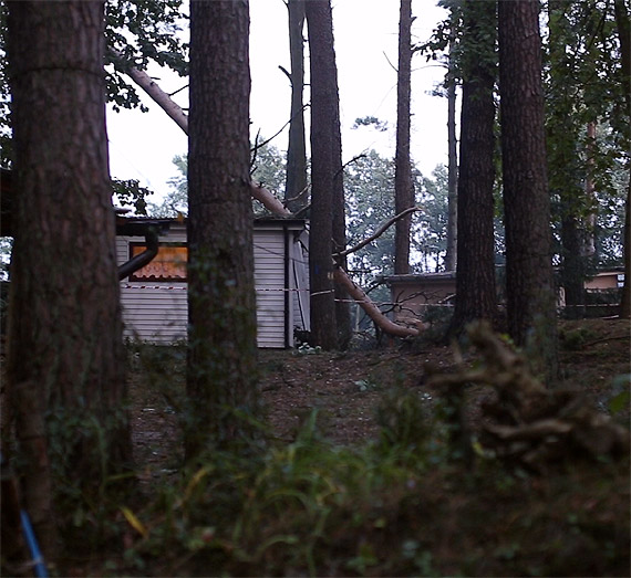 Silny wiatr powali� drzewa na domki letniskowe. Zobacz film!