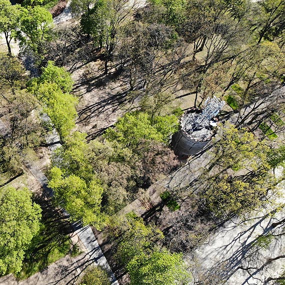 Nieobyczajny wybryk w parku