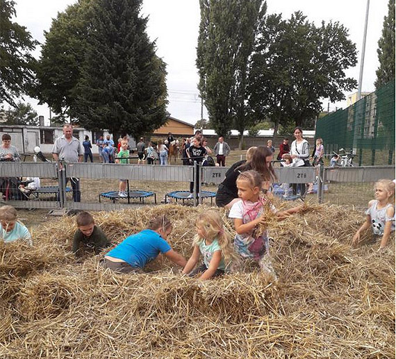 Wojew�dzkie Dni Pszczelarza i Do�ynki Gminne za nami