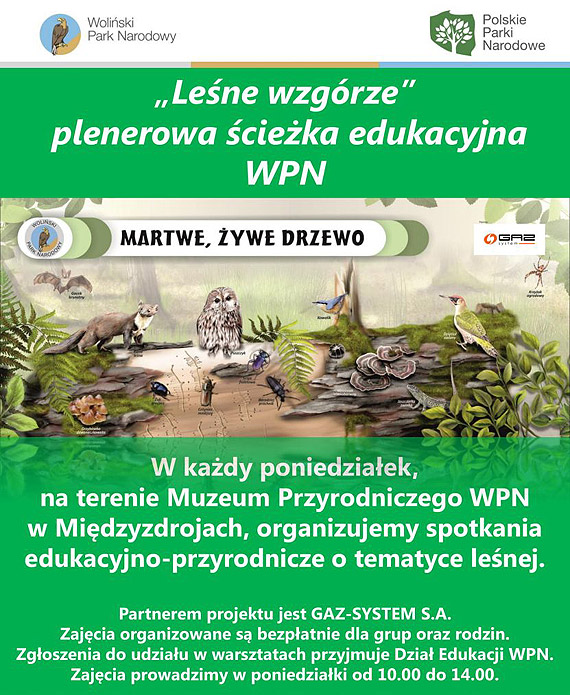 „Le�ne wzg�rze” - plenerowa �cie�ka edukacyjna Woli�skiego Parku Narodowego