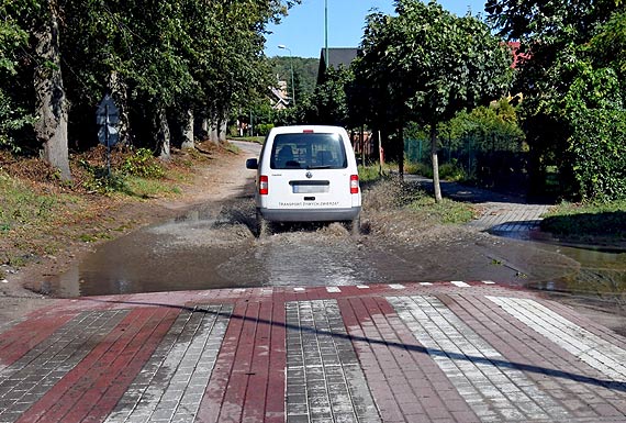 Wise�ka ma tor przeszk�d na drodze