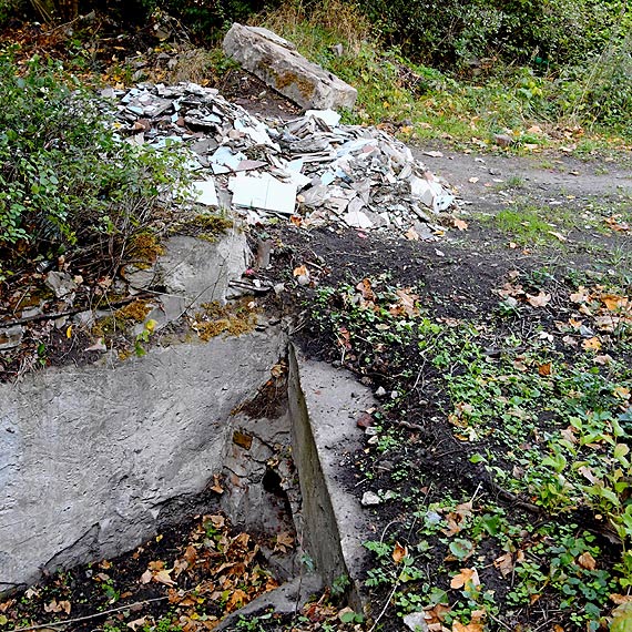 S�abe pa�stwo, niskie kary. Wysypisko �mieci na drodze w Wapnicy