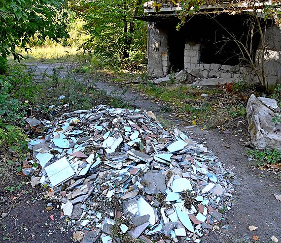 S�abe pa�stwo, niskie kary. Wysypisko �mieci na drodze w Wapnicy