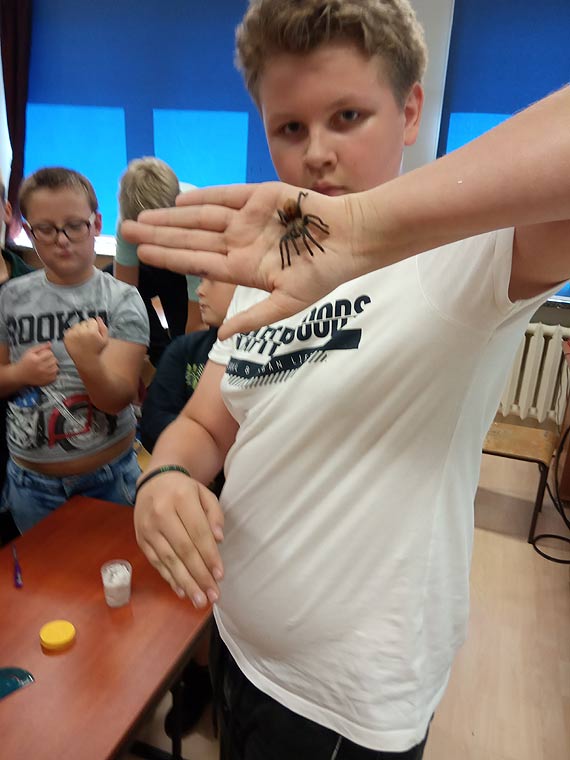 Terrarysta, a nie terrorysta