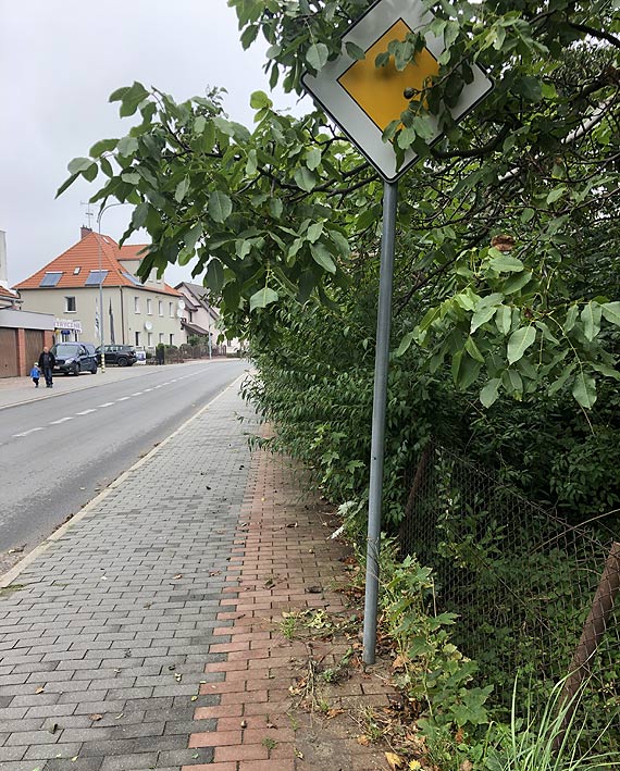 Czytelniczka: �cie�ka rowerowa i chodnik s� nie do u�ytku