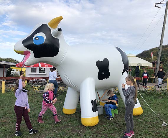 Dzie� S�siada w Wapnicy