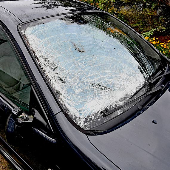 Kolizja z �osiem na „tr�jce”