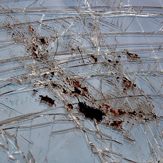 Kolizja z �osiem na „tr�jce”