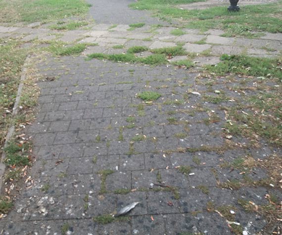 Halo czy ktoś tu sprząta?