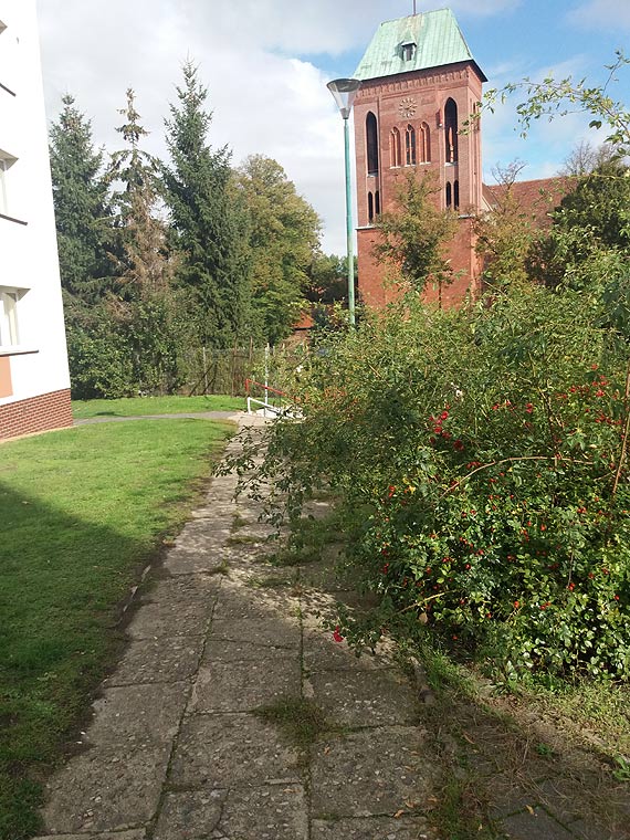 Halo czy ktoś tu sprząta?