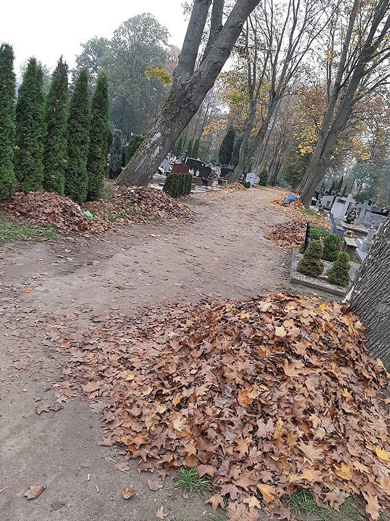 Jak suby dbaj o cmentarz w Kamieniu Pomorskim?