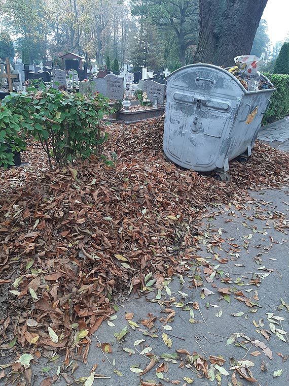 Jak suby dbaj o cmentarz w Kamieniu Pomorskim?