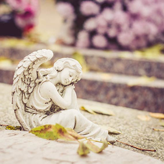 Zaduszki-w poszukiwaniu przesz�o�ci