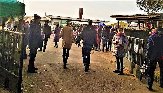 Kwesta członków UTW na Cmentarzu Komunalnym