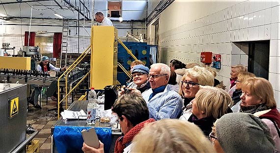 Wycieczka do Witnicy 20.11.2019 r.