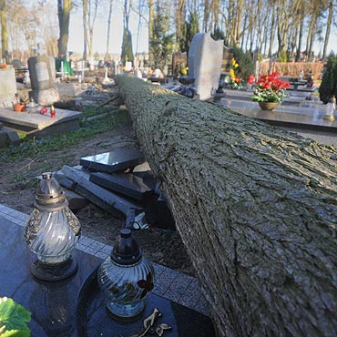 Kamie Pomorski: Drzewo roztrzaskao nagrobki