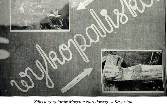 Galeria zdjęć z powojennych wykopalisk w Kamieniu Pomorskim