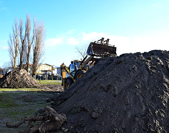 Ziele� dla Mi�dzyzdroj�w