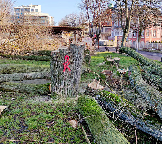 Ziele� dla Mi�dzyzdroj�w