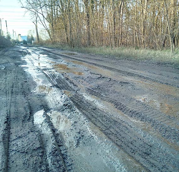 Czytelnik: To istny koszmar, ulice s w fatalnym stanie!