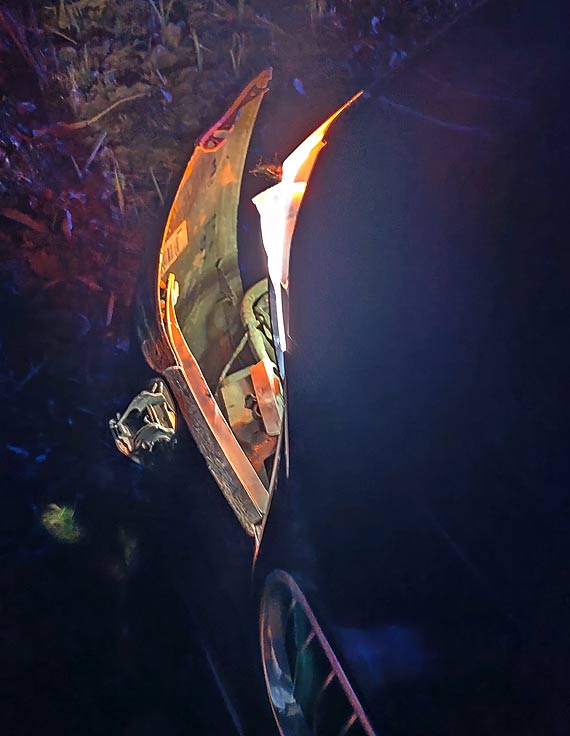 Seryjne kolizje z dzikami