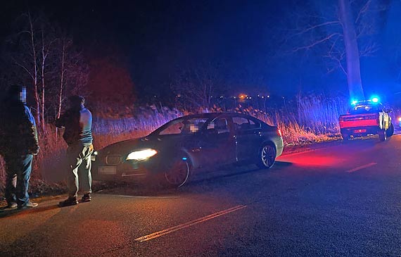 Seryjne kolizje z dzikami