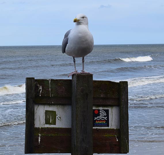 Wycieczka do Koobrzegu