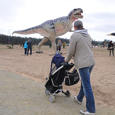 Dinozaury opanoway Wolin. Zobacz film!