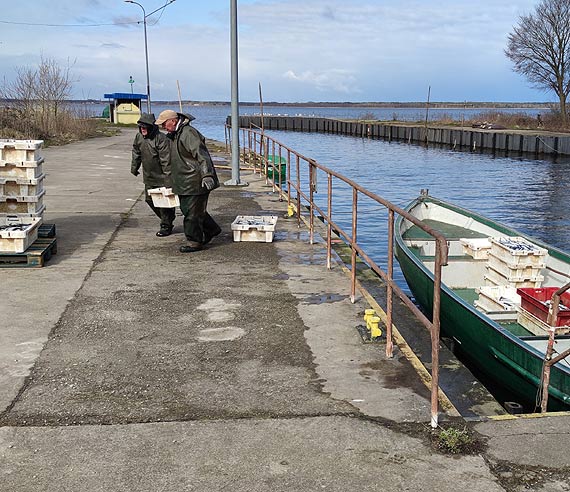 Pierwszy ledzik z Zalewu Szczeciskiego