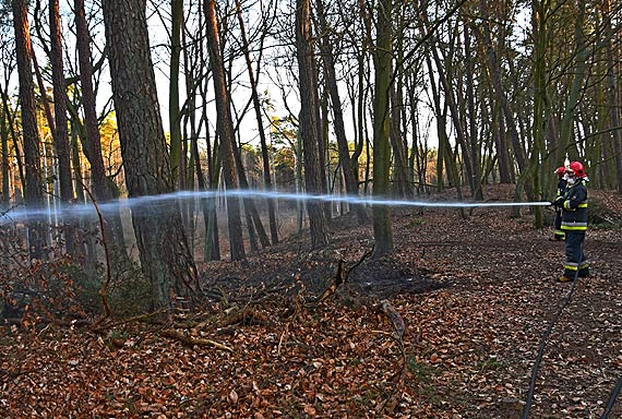 Kolejny raz poar lasu w Midzyzdrojach – Lubiewo