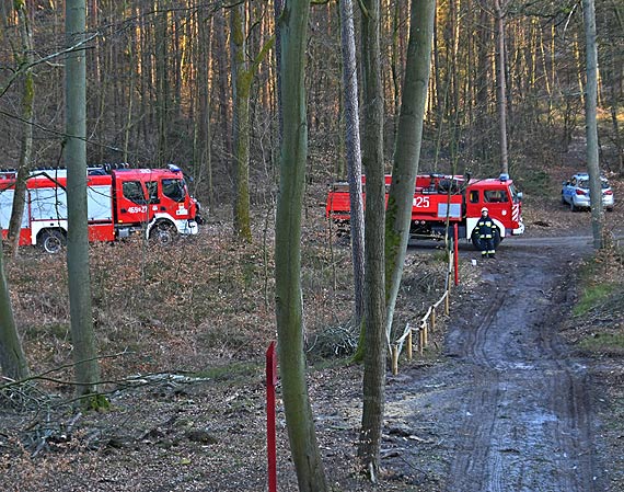 Kolejny raz poar lasu w Midzyzdrojach – Lubiewo