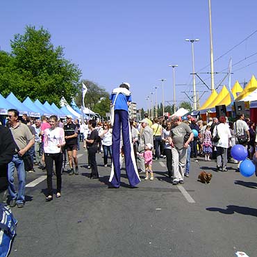 Midzyzdroje na Pikniku nad Odr