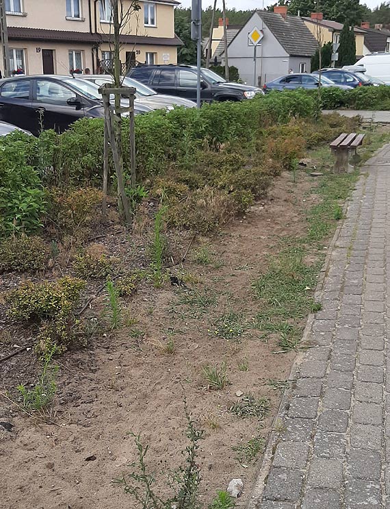 Czytelnik:Tak Dziwn�w przyci�ga turyst�w!