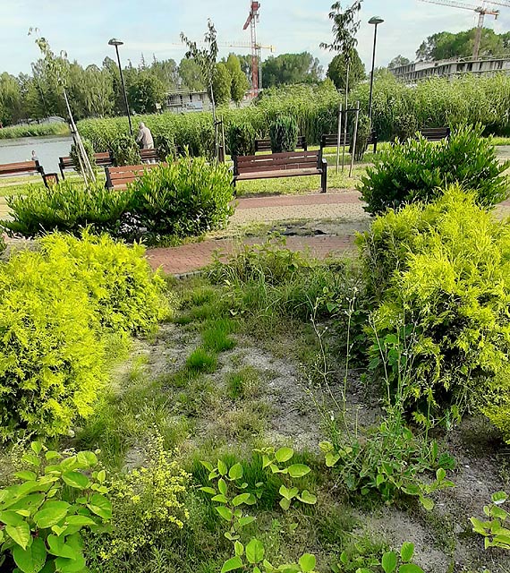 Czytelnik:Tak Dziwn�w przyci�ga turyst�w!