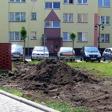 Kamień Pomorski: Bezmyślne wykopki po wykopkach