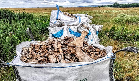 Mieszkaniec Wolina na spacerze natkn si na koci w workach