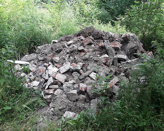 mieci z lasu trafiy na waciwe miejsce