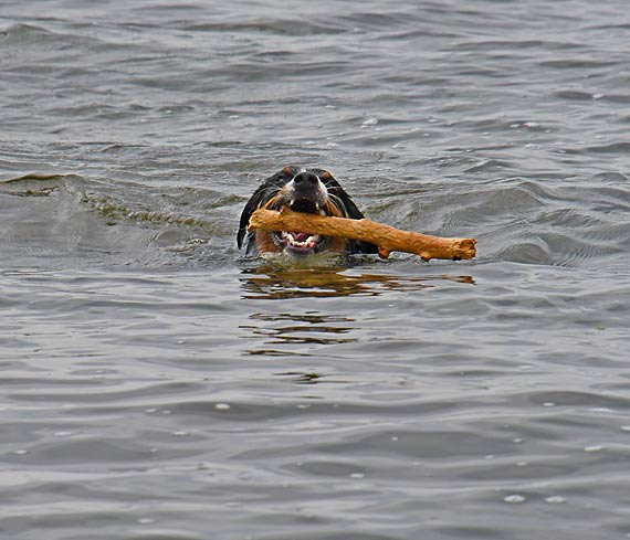 Spokojna, cicha pla�a w Wapnicy czeka nie tylko na turyst�w