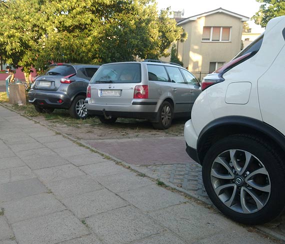 Czytelnik: Pomniki przyrody - dziki parking