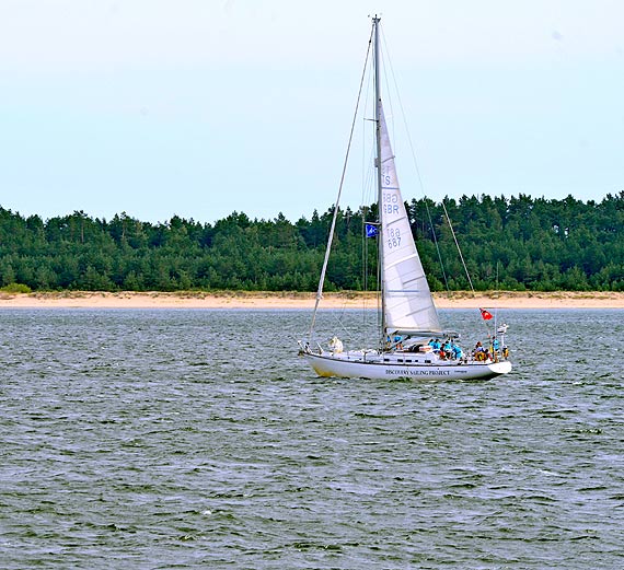 Strefa wolna od wirusa