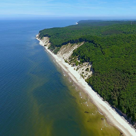 Strefa wolna od wirusa