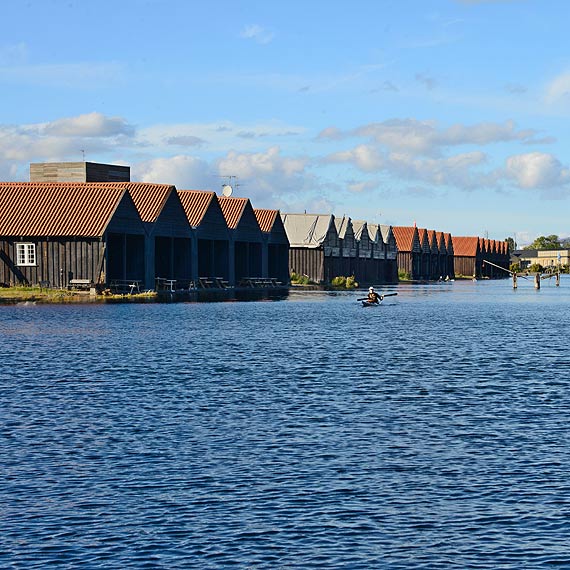 Strefa wolna od wirusa