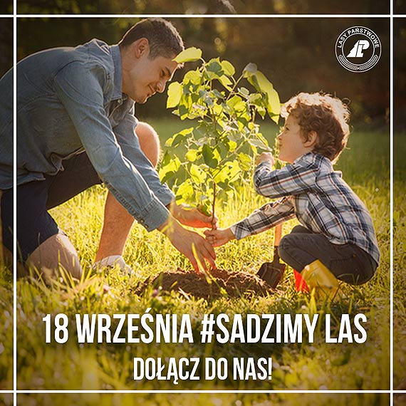 Akcja #sadziMY