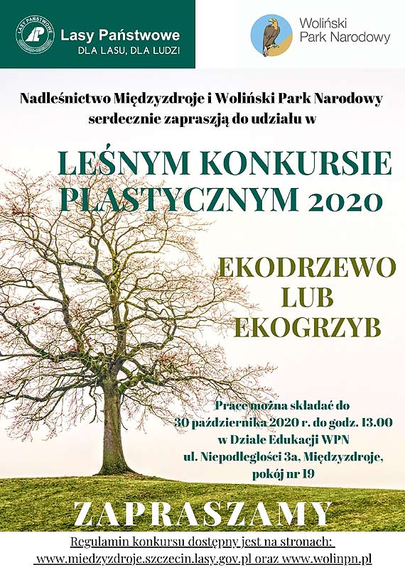 Leny konkurs plastyczny