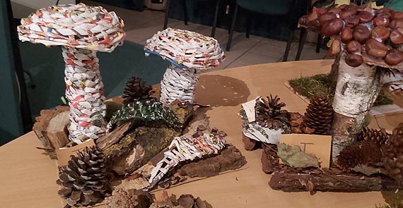 Rozstrzygnięcie leśnego konkursu plastycznego „EKOGRZYB 3D LUB EKODRZEWO 3D”
