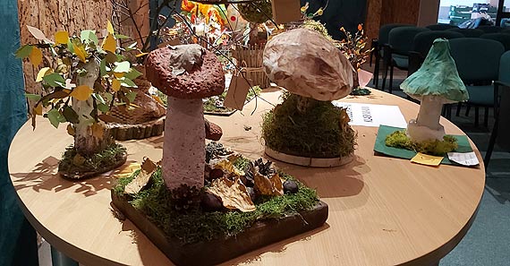 Rozstrzygnięcie leśnego konkursu plastycznego „EKOGRZYB 3D LUB EKODRZEWO 3D”