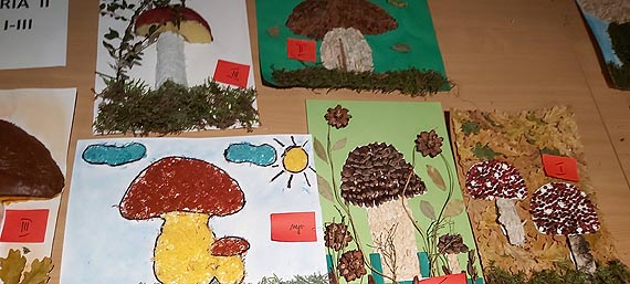 Rozstrzygnięcie leśnego konkursu plastycznego „EKOGRZYB 3D LUB EKODRZEWO 3D”