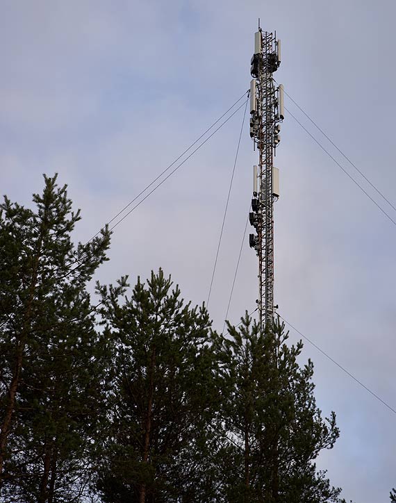 Gmina chce wspiera inwestorw telekomunikacyjnych